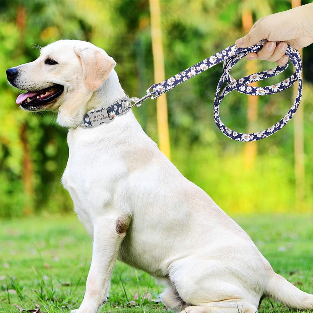 Floral Dog Collar & Leash - Soft Ethnic Style, Engraved Name Plate,