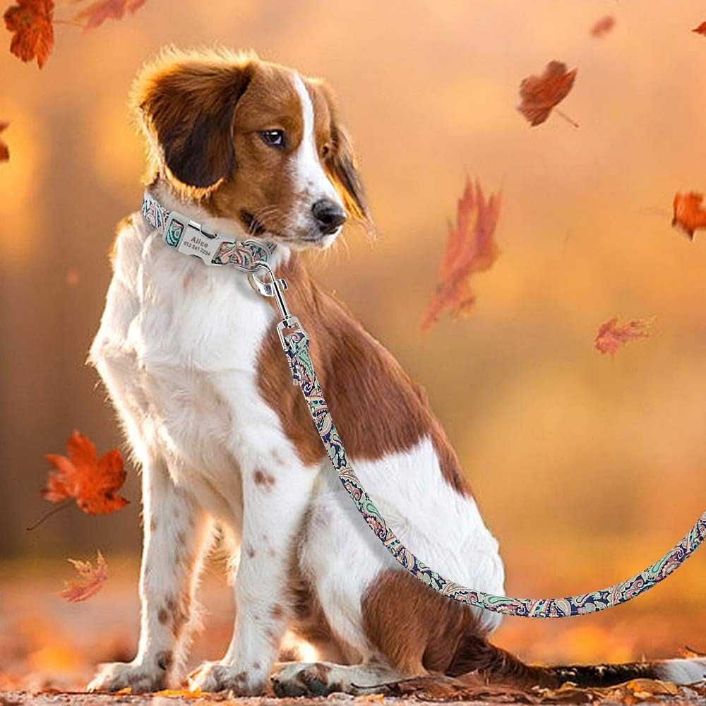 Floral Dog Collar & Leash - Soft Ethnic Style, Engraved Name Plate,