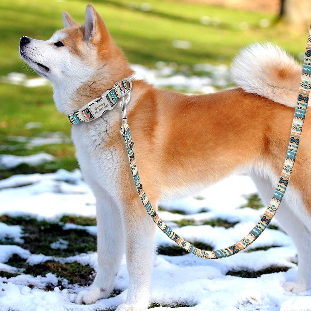 Floral Dog Collar & Leash - Soft Ethnic Style, Engraved Name Plate,