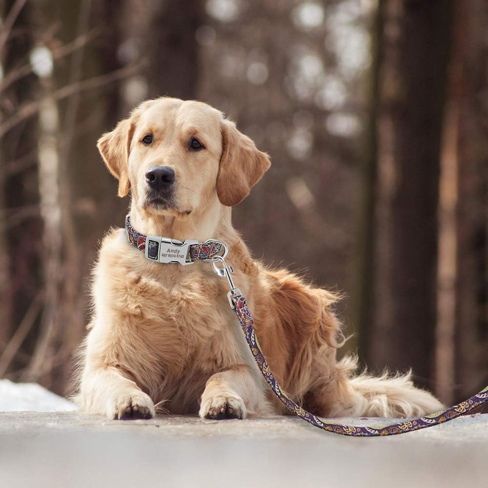 Floral Dog Collar & Leash - Soft Ethnic Style, Engraved Name Plate,
