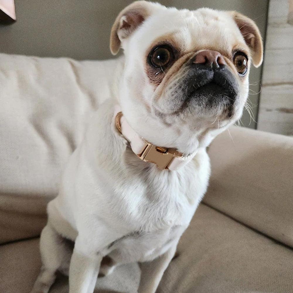 Luxury Velvet Dog Collar, Personalized Dog Collar, Engraved Pet Name Metal Buckle,,Soft Adjustable Pet Collar