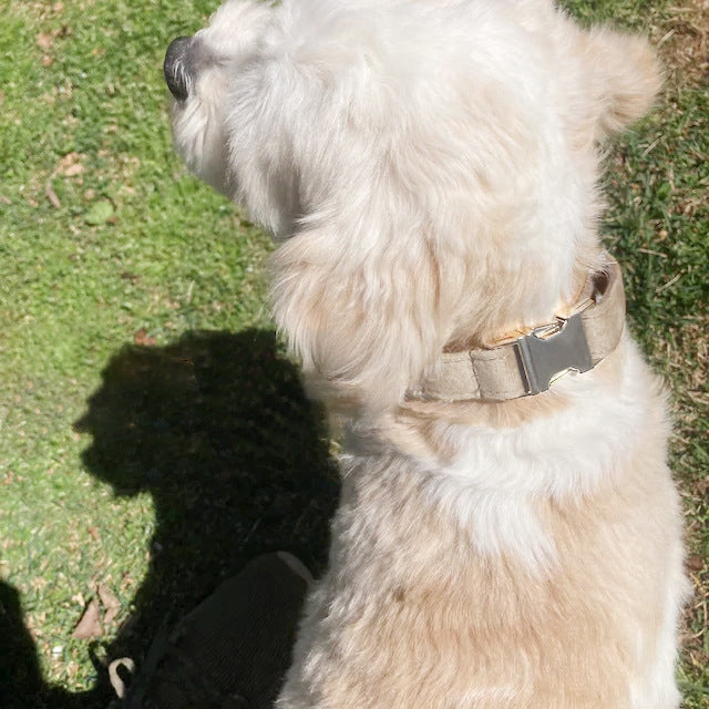 Luxury Velvet Dog Collar, Personalized Dog Collar, Engraved Pet Name Metal Buckle,,Soft Adjustable Pet Collar