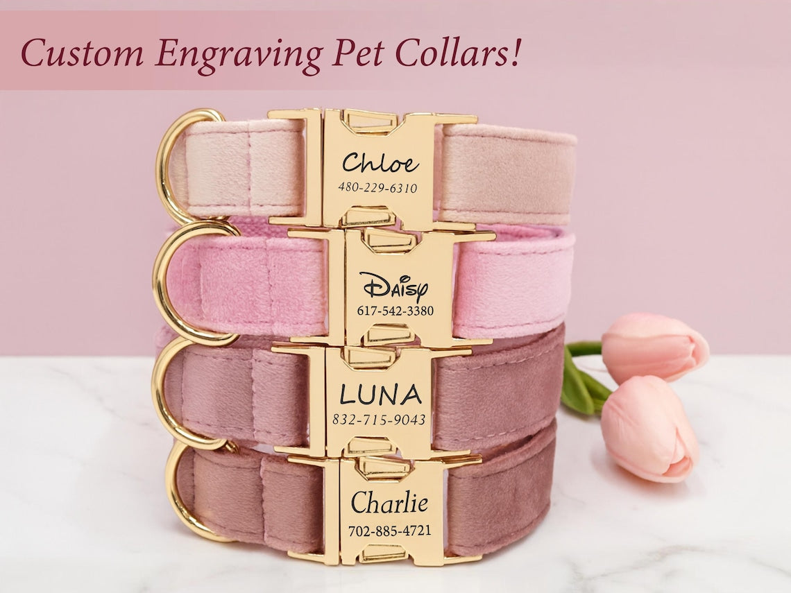 Luxury Velvet Dog Collar, Personalized Dog Collar, Engraved Pet Name Metal Buckle,,Soft Adjustable Pet Collar
