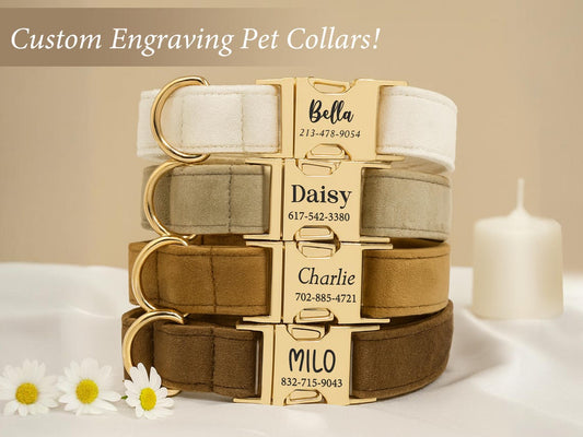 Luxury Velvet Dog Collar, Personalized Dog Collar,  Engraved Pet Name Metal Buckle,,Soft Adjustable Pet Collar
